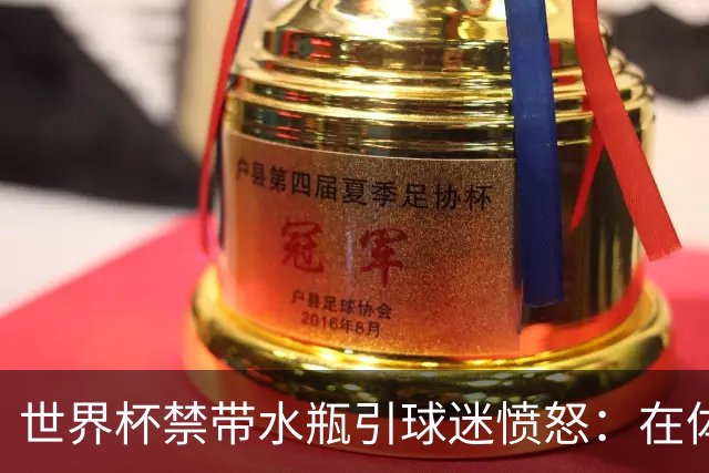 世界杯禁带水瓶引球迷愤怒：在体育场里买？难道更贵就更安全？